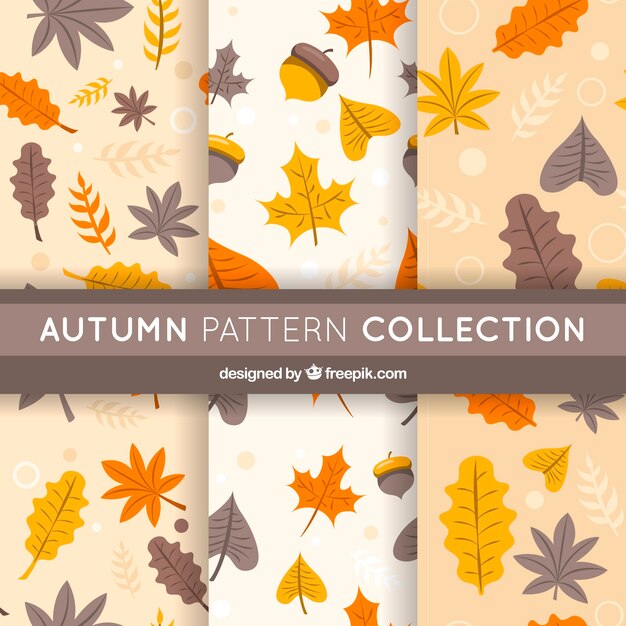 Colección de patrones de otoño en estilo moderno