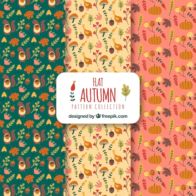 Colección de patrones de otoño en estilo plano