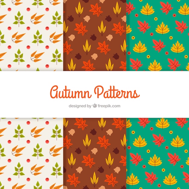 Colección de patrones de otoño en estilo plano