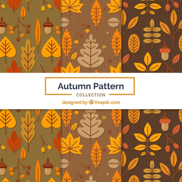 Colección de patrones de otoño en estilo plano