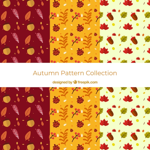 Colección de patrones de otoño con hojas coloridas
