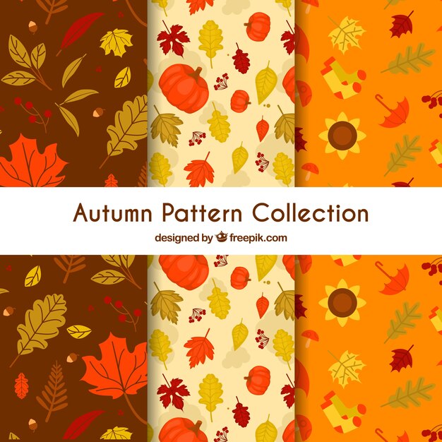 Colección de patrones de otoño con hojas coloridas