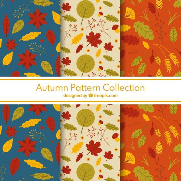 Colección de patrones de otoño con hojas coloridas