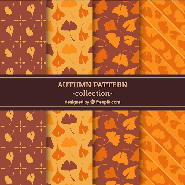 Colección de patrones de otoño con hojas coloridas