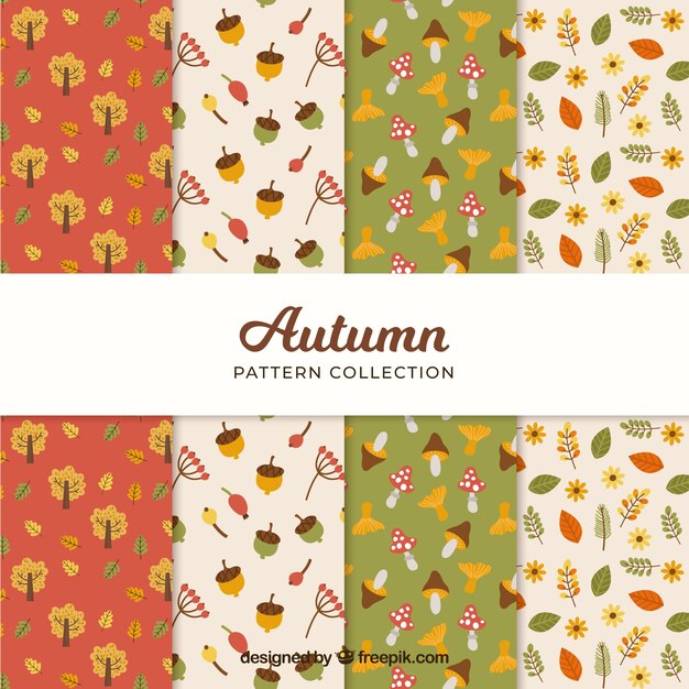 Colección de patrones de otoño con hojas y elementos