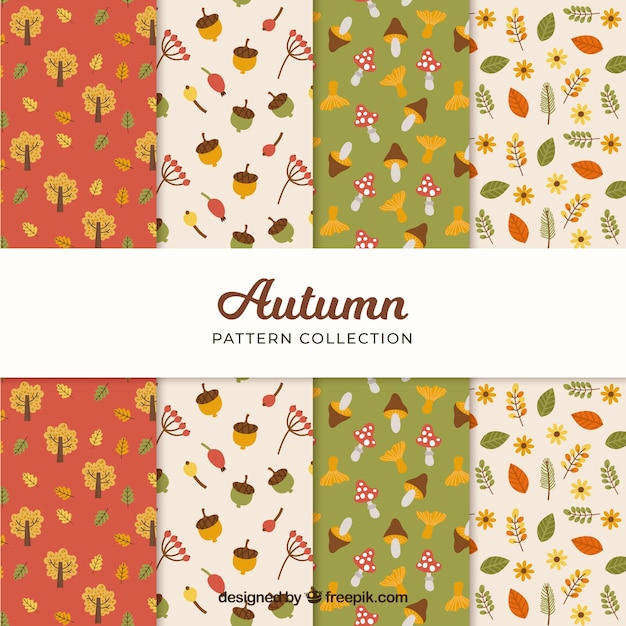 Colección de patrones de otoño con hojas y elementos