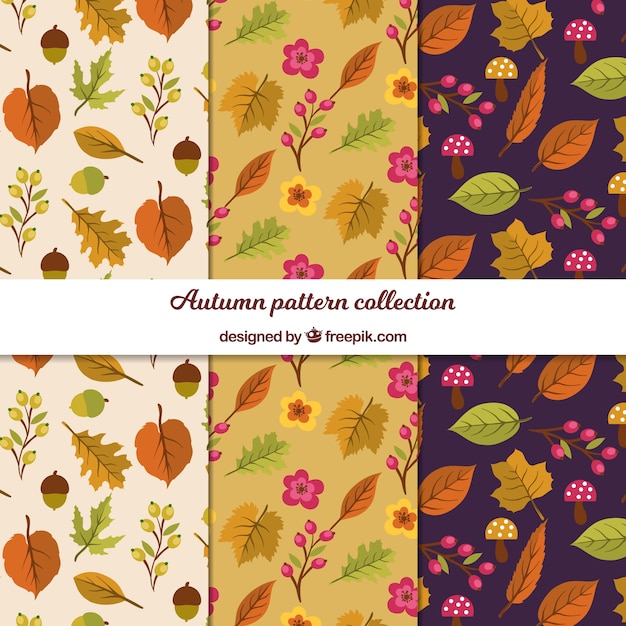 Colección de patrones de otoño con hojas planas