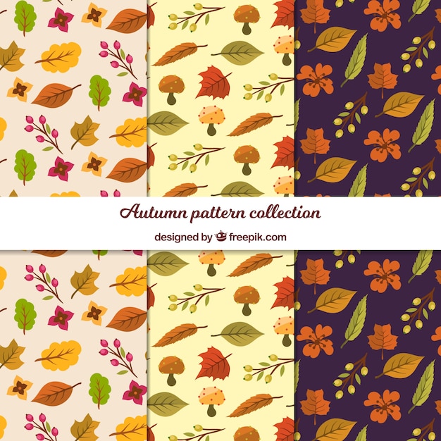 Colección de patrones de otoño con hojas planas