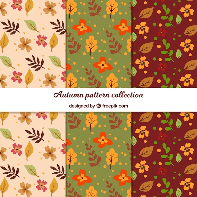 Colección de patrones de otoño con hojas planas