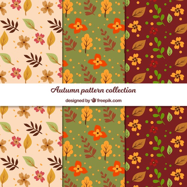 Colección de patrones de otoño con hojas planas
