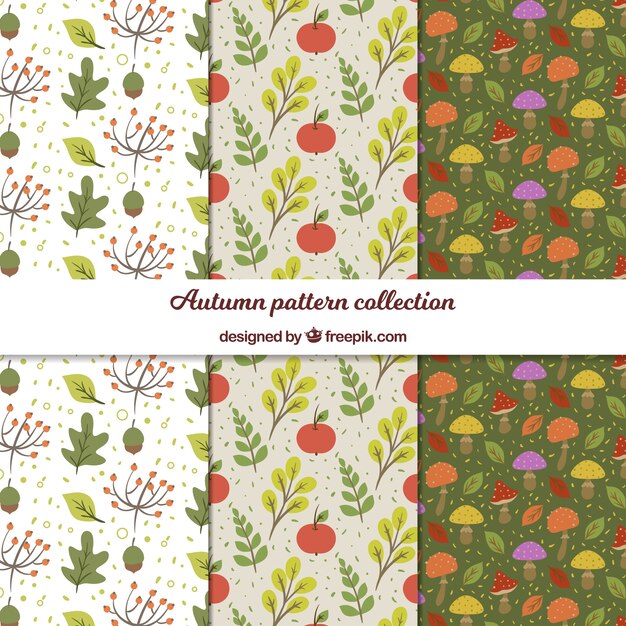 Colección de patrones de otoño con hojas planas
