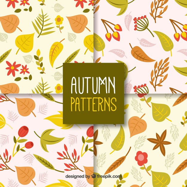 Colección de patrones de otoño con hojas