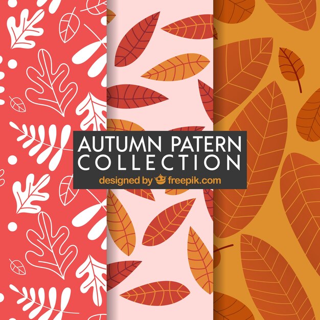 Colección de patrones de otoño con hojas
