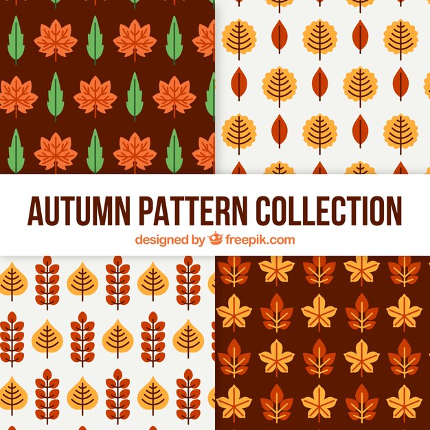 Colección de patrones de otoño con hojas