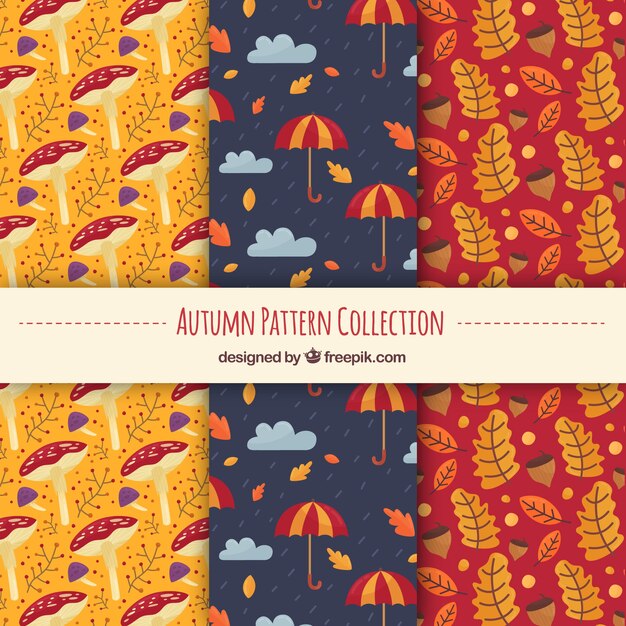 Colección de patrones de otoño con naturaleza 