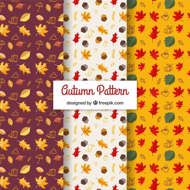 Colección de patrones de otoño con naturaleza