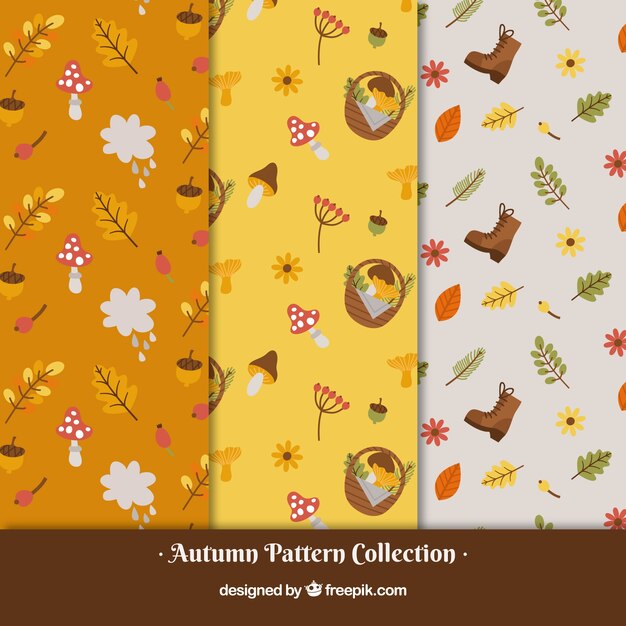 Colección de patrones de otoño con naturaleza