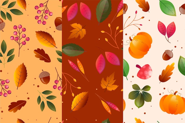 Vector gratuito colección de patrones de otoño realistas