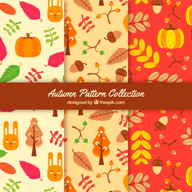 Colección de patrones de otoño en tonos rojos
