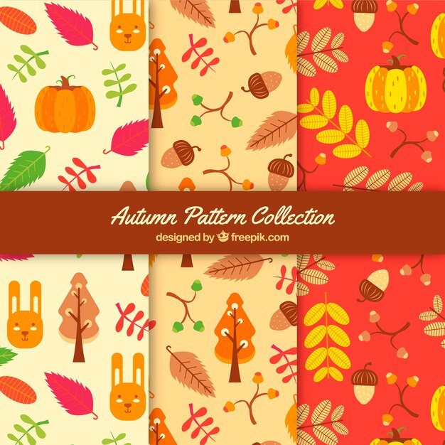 Colección de patrones de otoño en tonos rojos