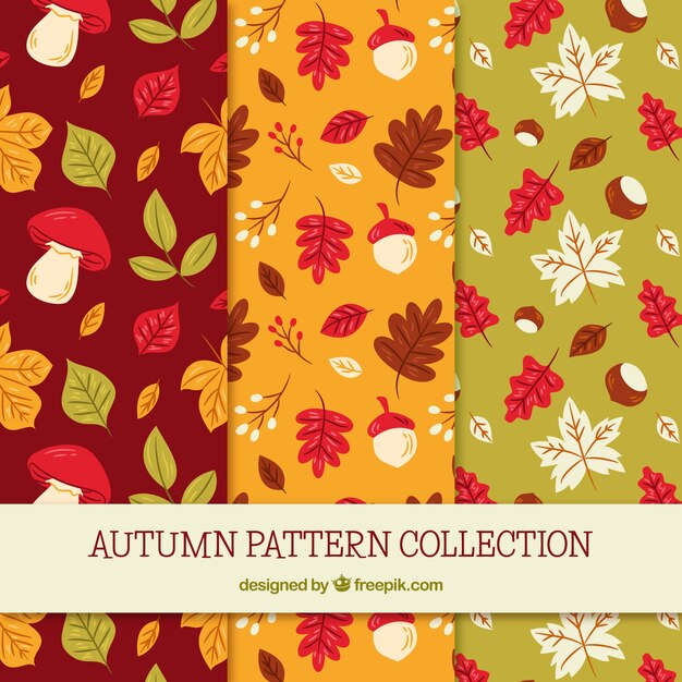 Colección de patrones de otoño