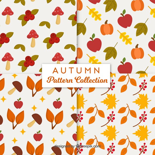 Colección de patrones de otoño