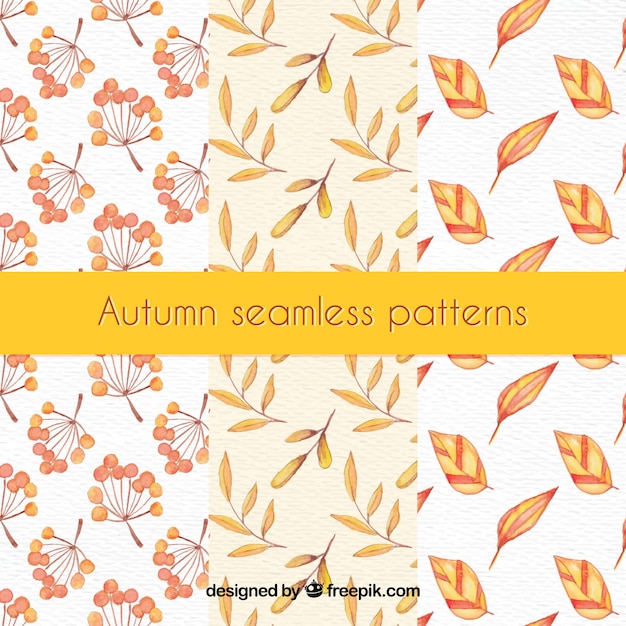 Vector gratuito colección de patrones de otoño