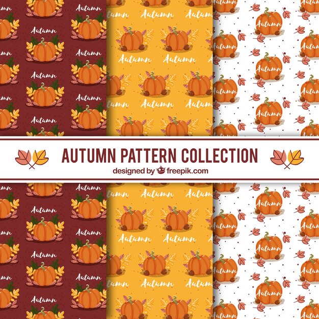 Colección de patrones de otoño