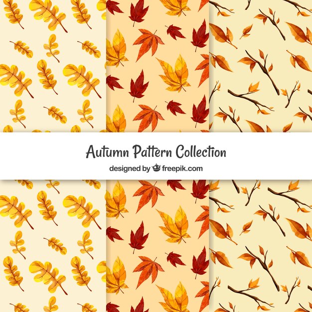 Colección de patrones de otoño