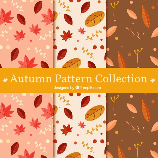 Colección de patrones de otoño