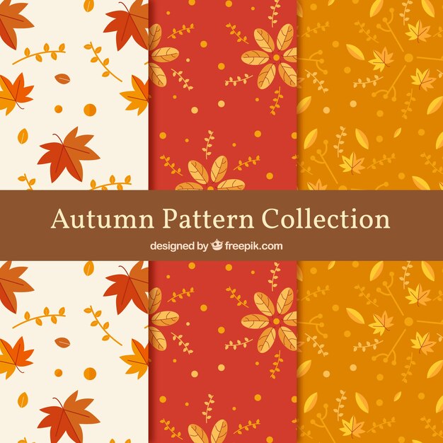 Colección de patrones de otoño