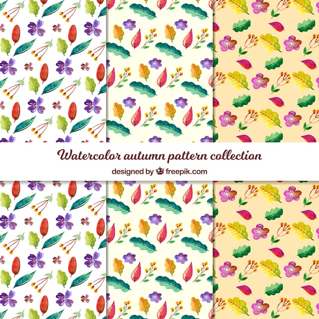 Colección de patrones de otoño