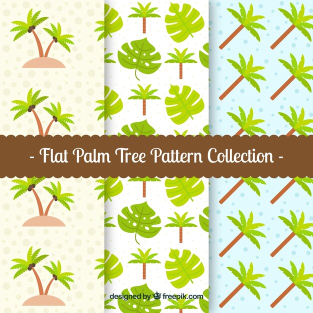 Colección de patrones de palmeras en diseño plano 