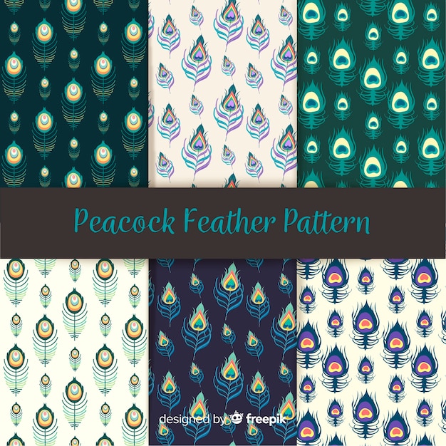 Colección de patrones de plumas de pavo real dibujados a mano