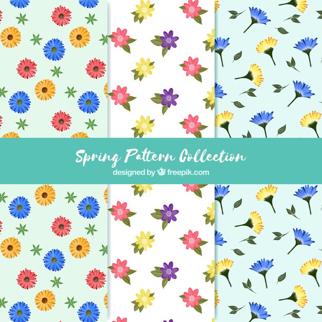 Colección de patrones de primavera en acuarela