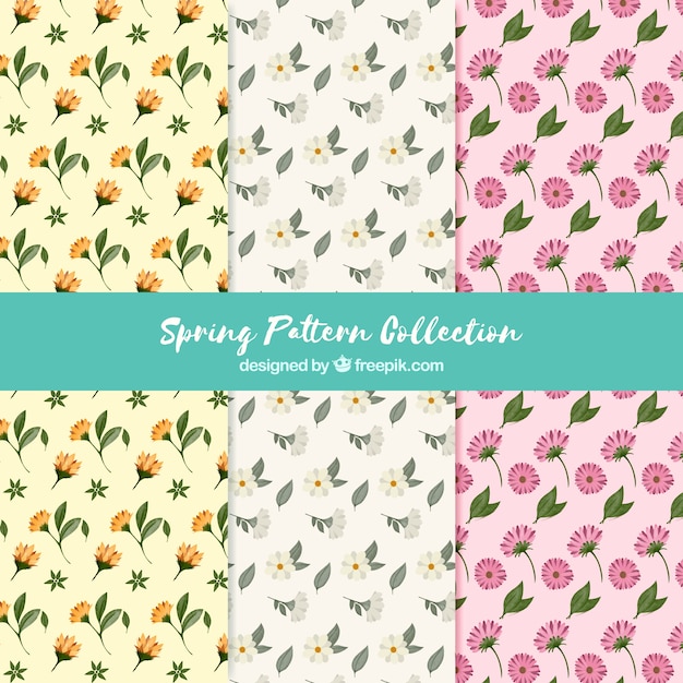Colección de patrones de primavera en acuarela