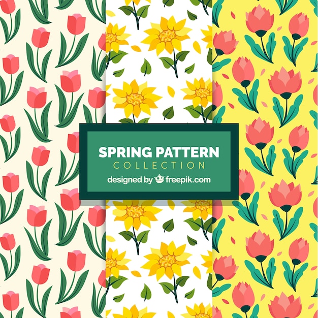 Colección de patrones de primavera