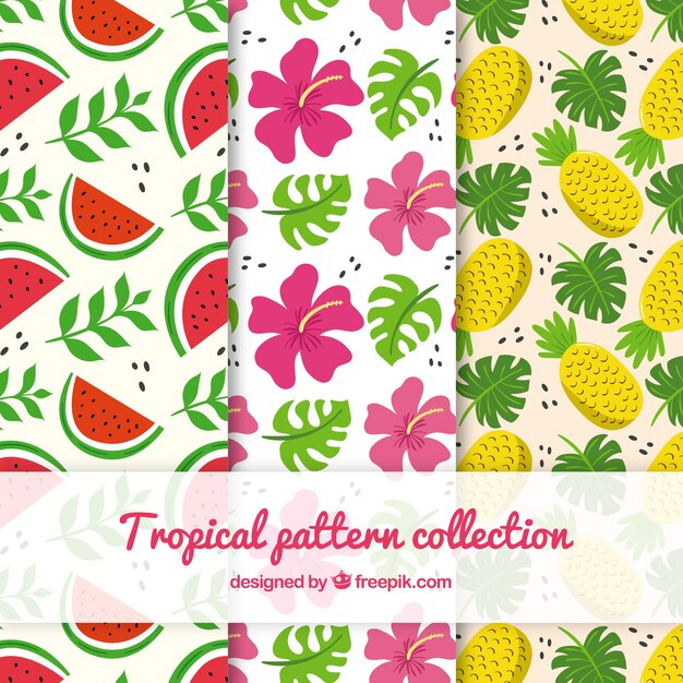 Colección de patrones tropicales con flores y frutas