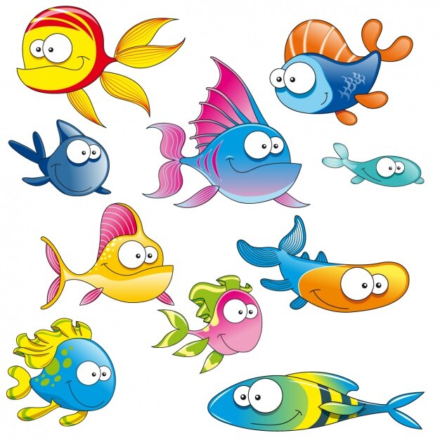 Colección de peces a color
