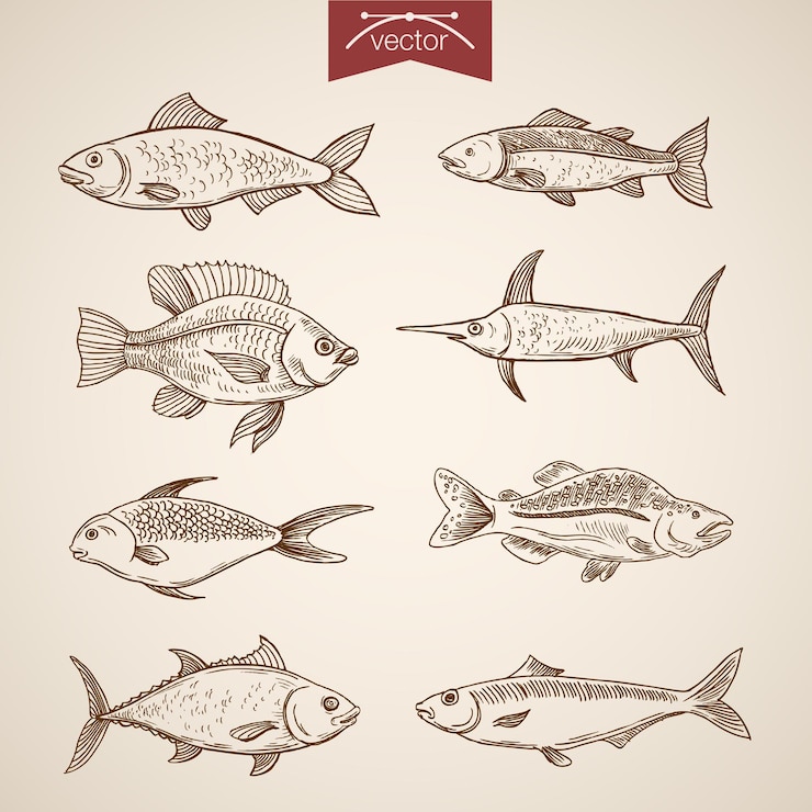Vector gratuito colección de peces dibujados a mano vintage grabado.