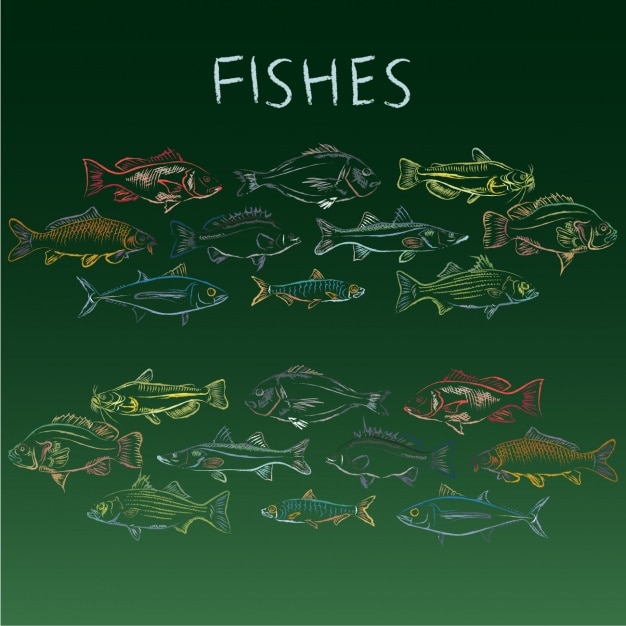 Vector gratuito colección de peces dibujados a mano