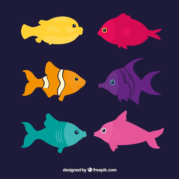 Colección de peces en seis colores