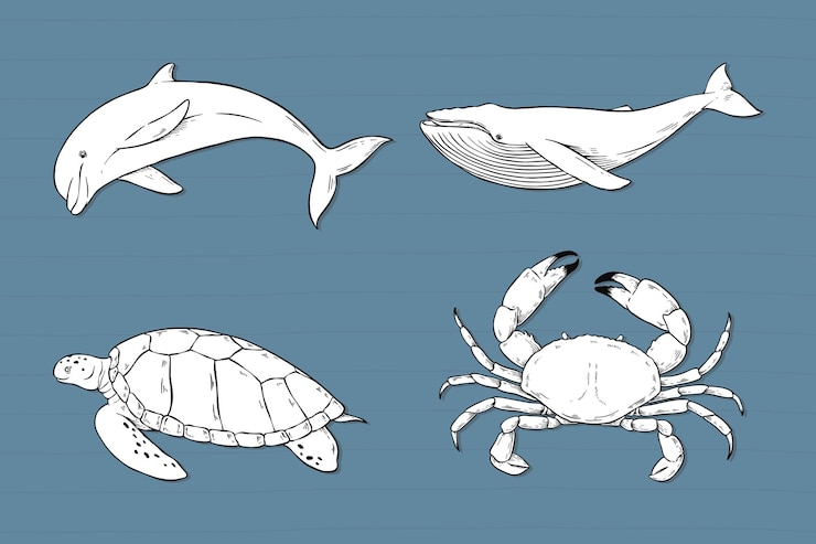 Vector gratuito colección de pegatinas de animales marinos vectoriales en blanco y negro