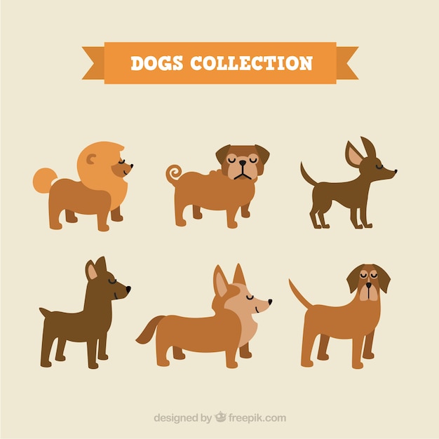 Colección de perfiles de perros graciosos 