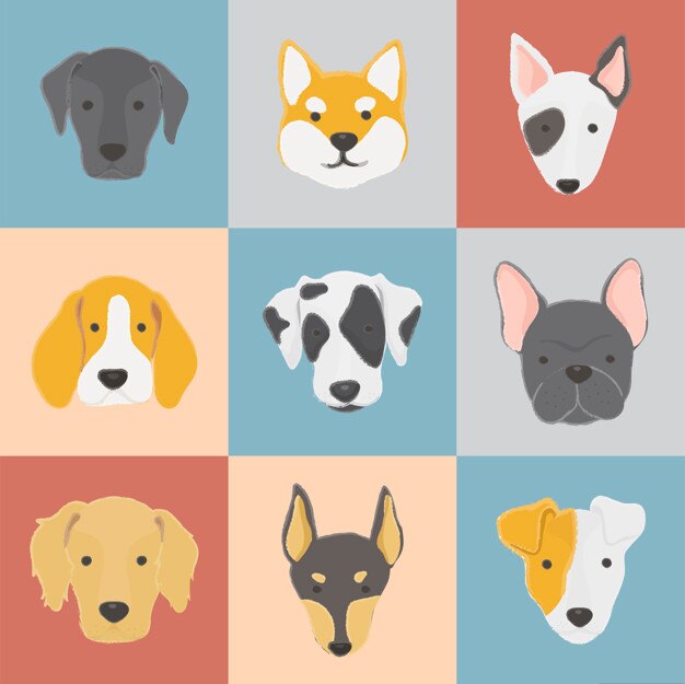 Colección de perros