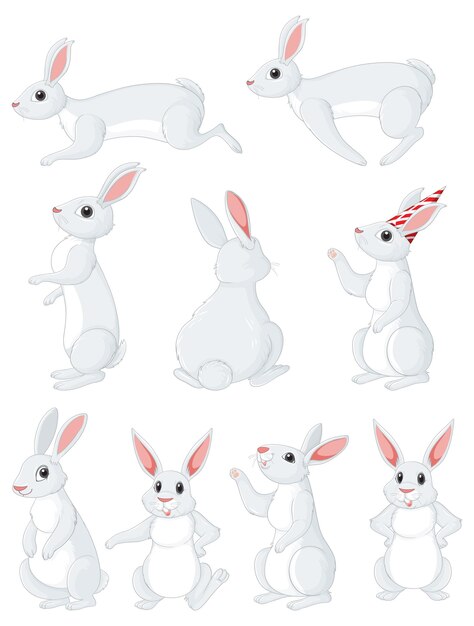 Colección de personajes de dibujos animados lindo conejo