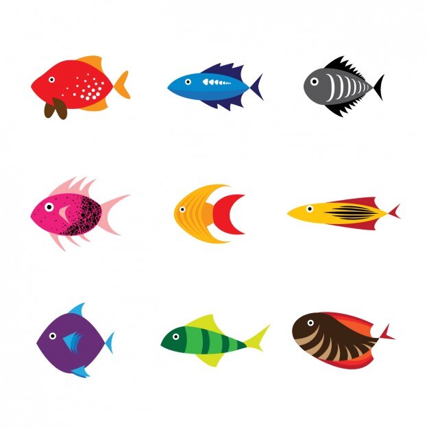 Colección de pescados a color