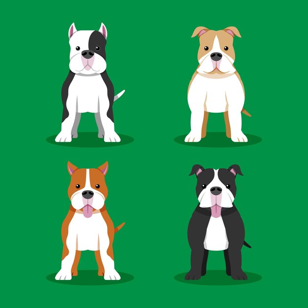 Colección pitbull de diseño plano
