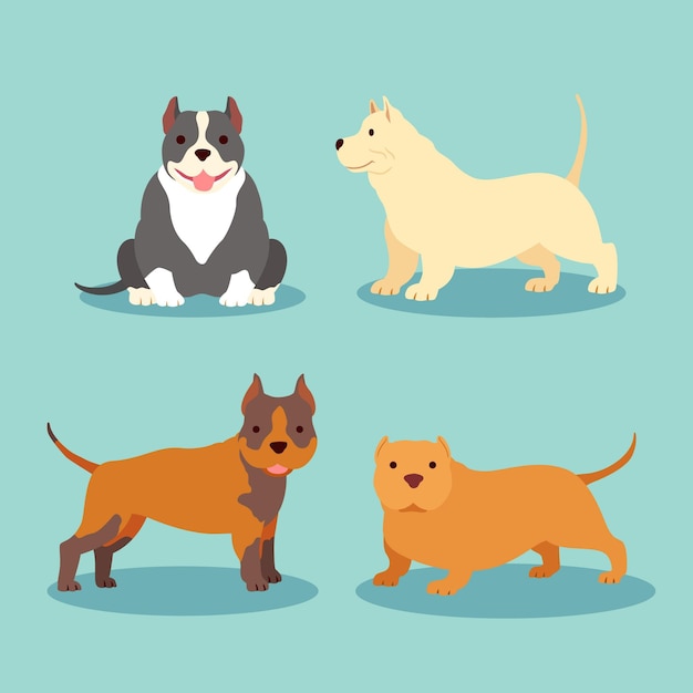 Colección pitbull de diseño plano