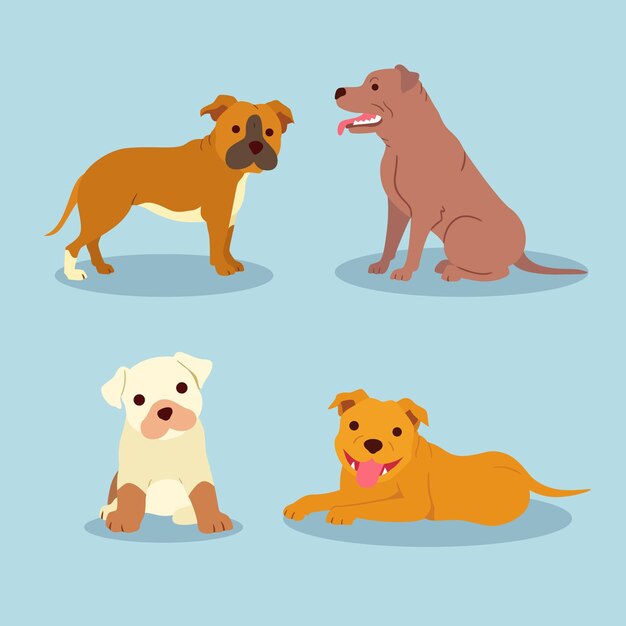 Colección pitbull de diseño plano